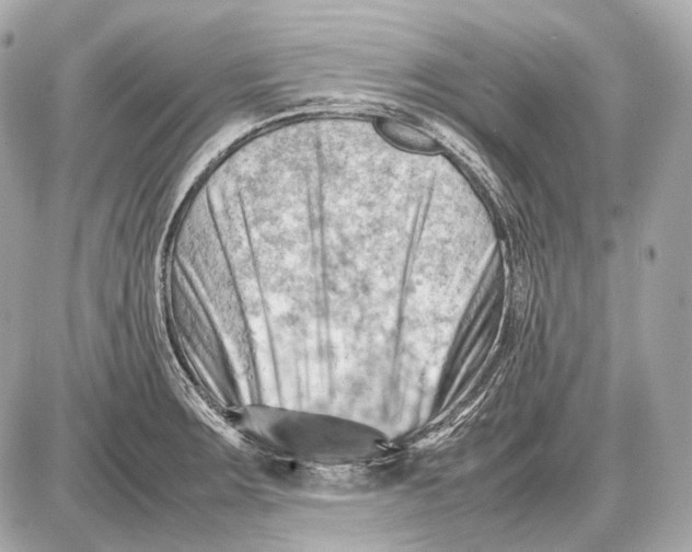 X0000087401283200705111816