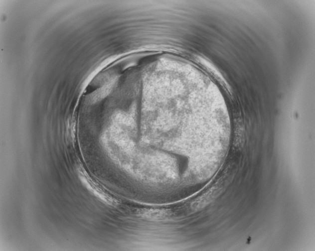 X0000087401284200705111816