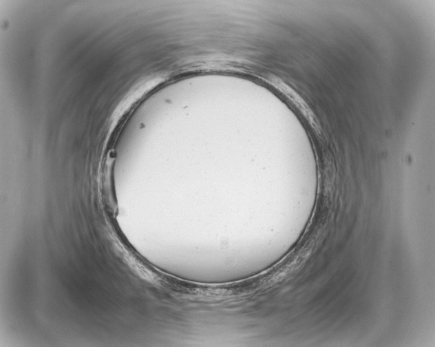 X0000087401285200705111816