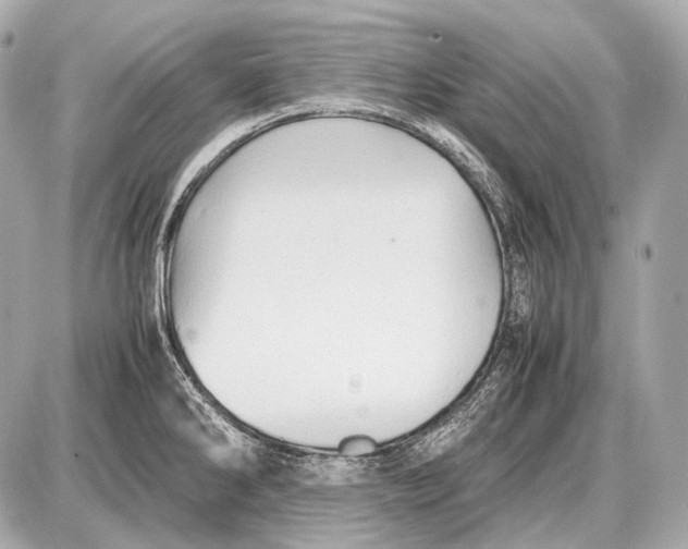 X0000087401286200705111816