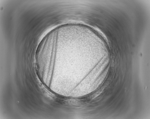 X0000087401287200705111816