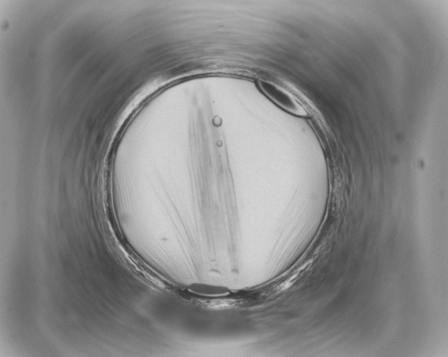 X0000087401291200705111816