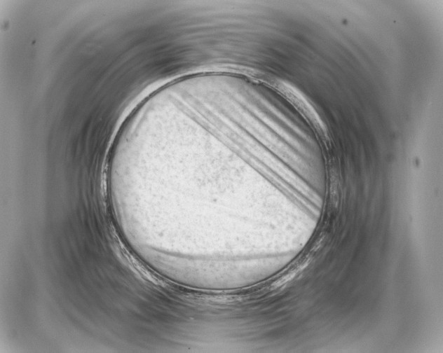 X0000087401292200705111816