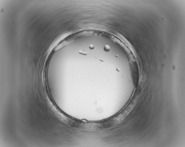 X0000087401293200705111816