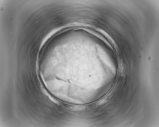 X0000087401294200705111816