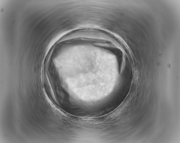 X0000087401295200705111816