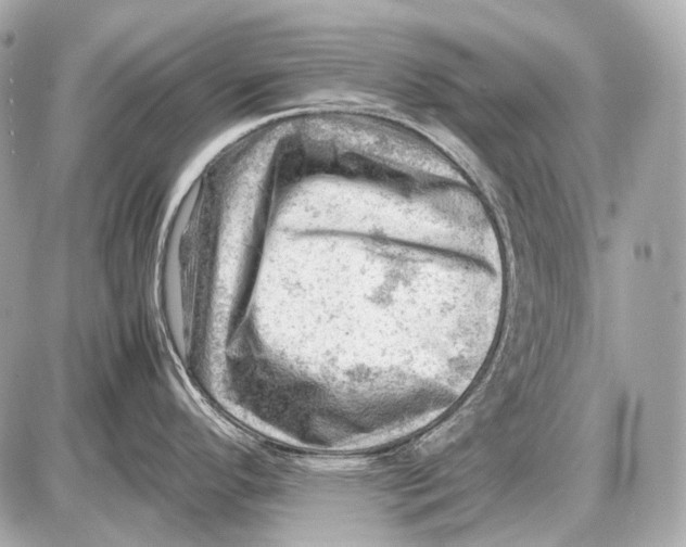 X0000087401296200705111816