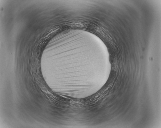 X0000087401297200705111815