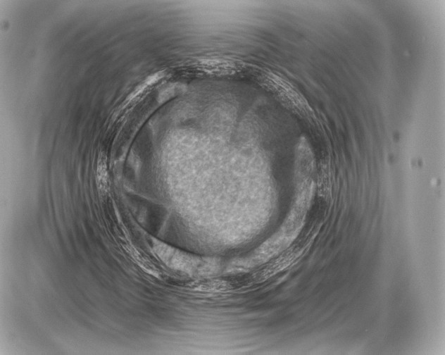 X0000087401298200705111815