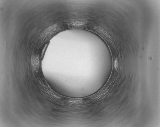 X0000087401299200705111815