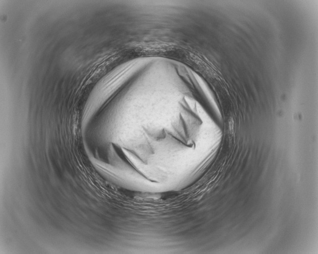 X0000087401300200705111815