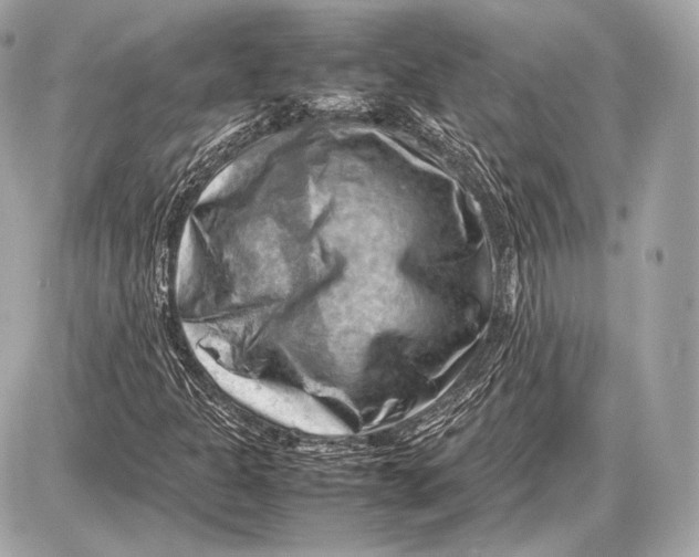 X0000087401301200705111815