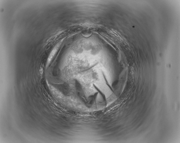 X0000087401302200705111815