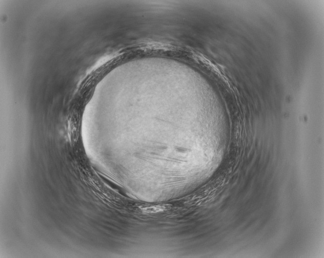 X0000087401303200705111815