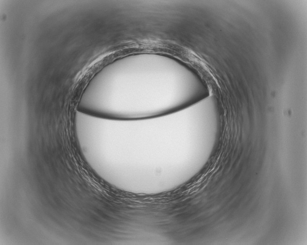 X0000087401304200705111815