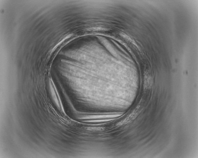 X0000087401305200705111815