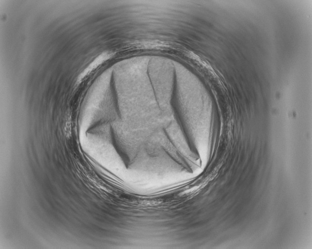 X0000087401306200705111815