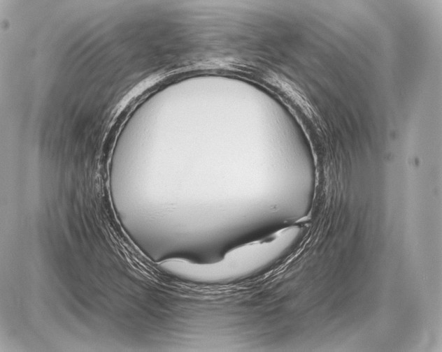 X0000087401308200705111816