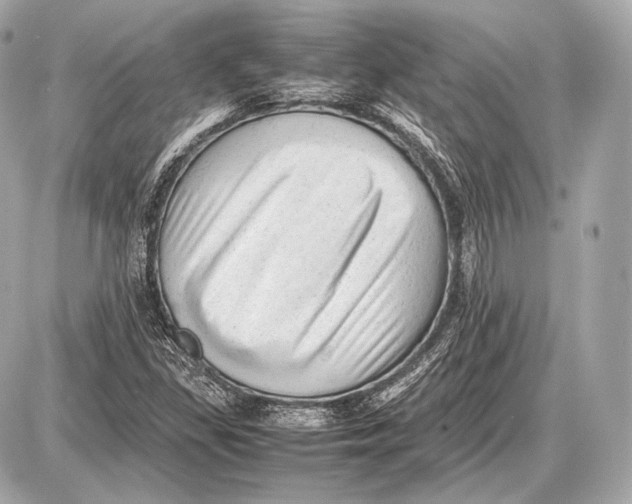 X0000087401309200705111816