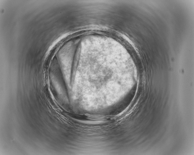 X0000087401310200705111816