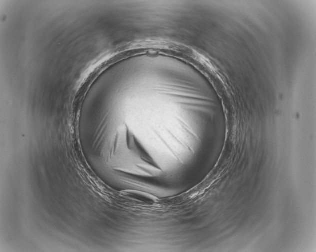 X0000087401312200705111816