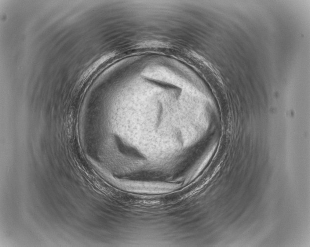 X0000087401313200705111816