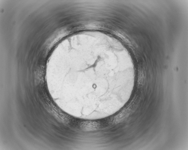 X0000087401314200705111816