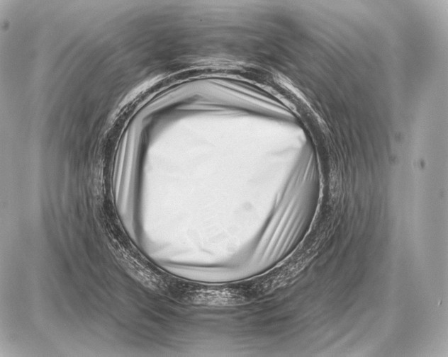 X0000087401315200705111816