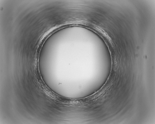 X0000087401316200705111816