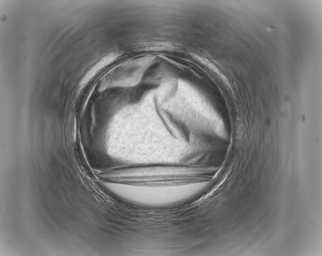 X0000087401317200705111816