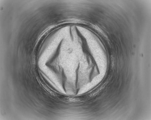 X0000087401318200705111816