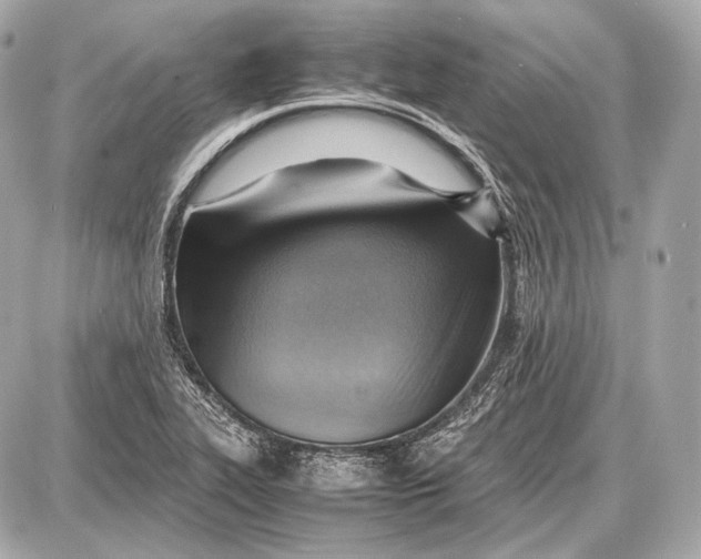 X0000087401319200705111816