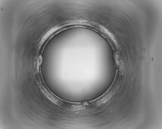 X0000087401320200705111816