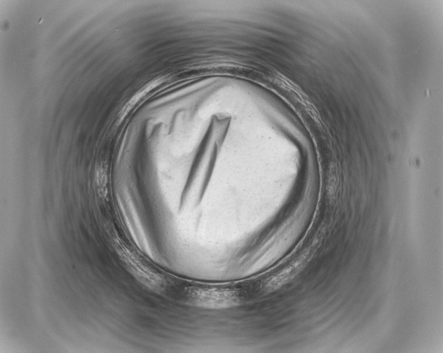 X0000087401321200705111816