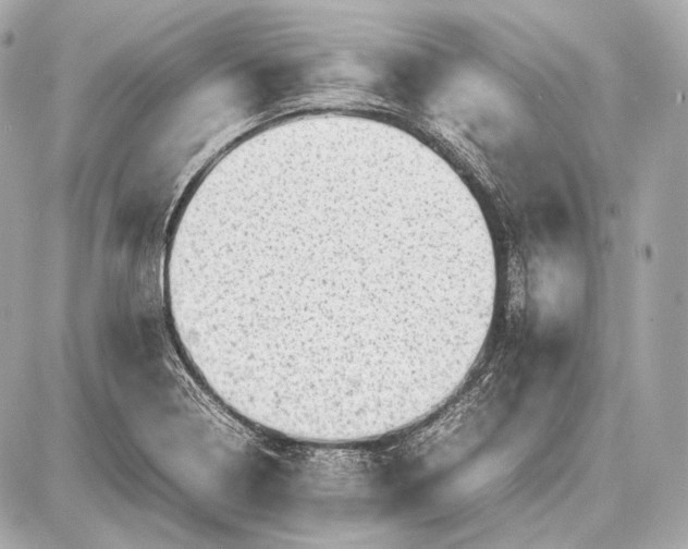 X0000087401322200705111816