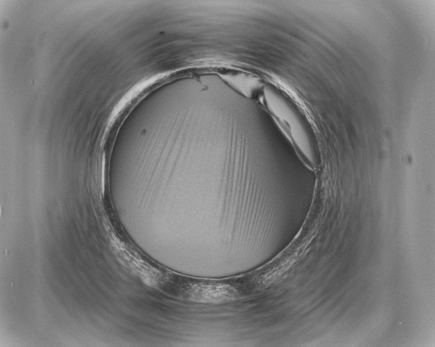 X0000087401323200705111816