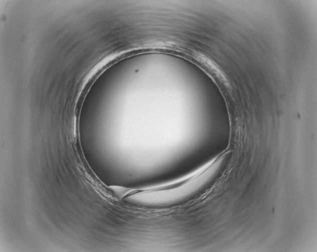 X0000087401324200705111816