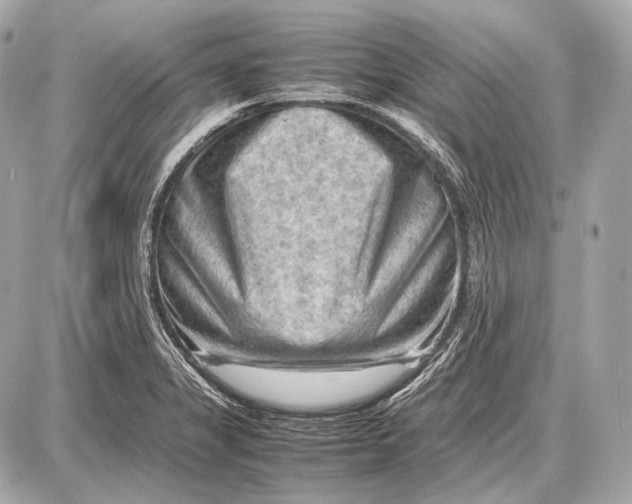 X0000087401325200705111816