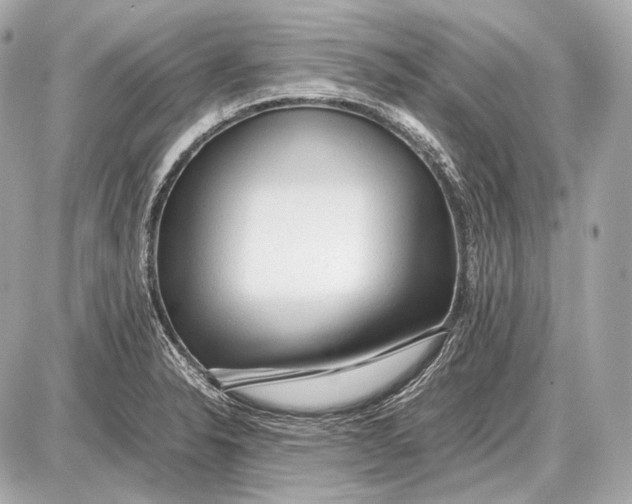 X0000087401326200705111816