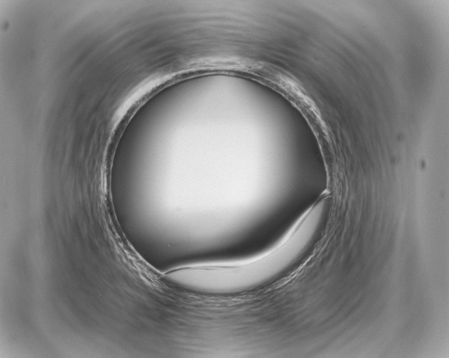 X0000087401328200705111816