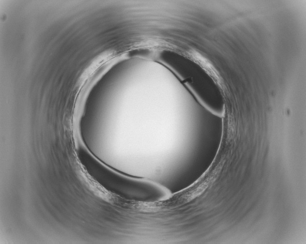 X0000087401330200705111816