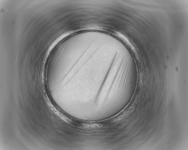 X0000087401331200705111816