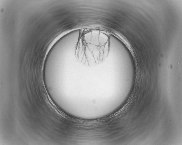 X0000087401332200705111816