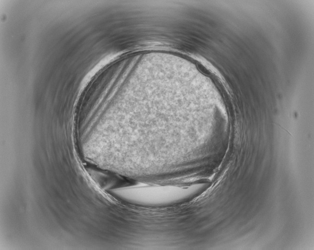 X0000087401333200705111816