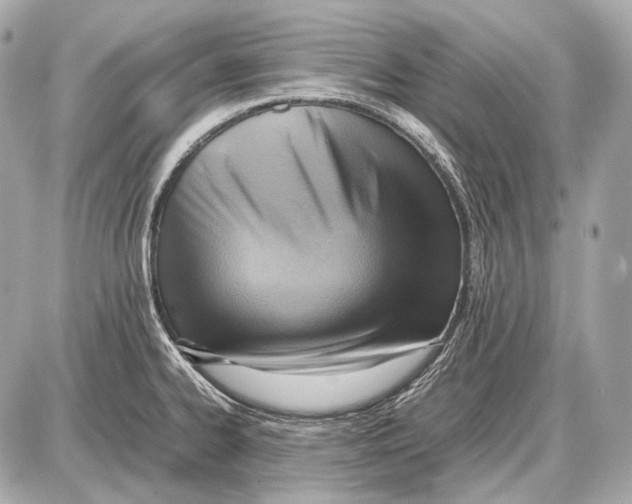 X0000087401334200705111816