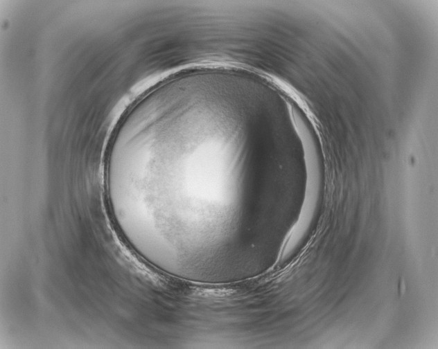 X0000087401335200705111816