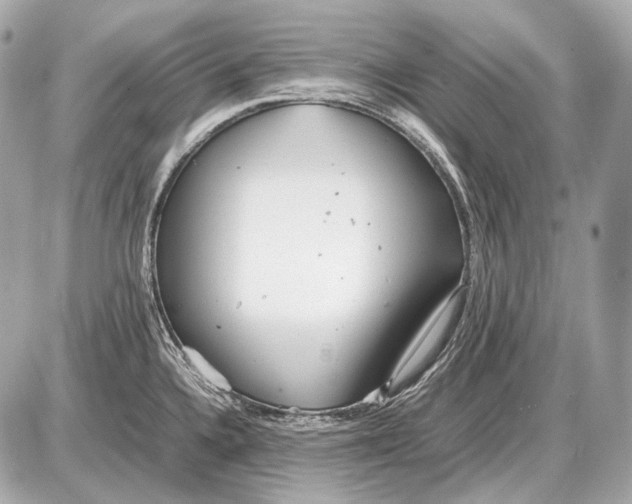 X0000087401336200705111816