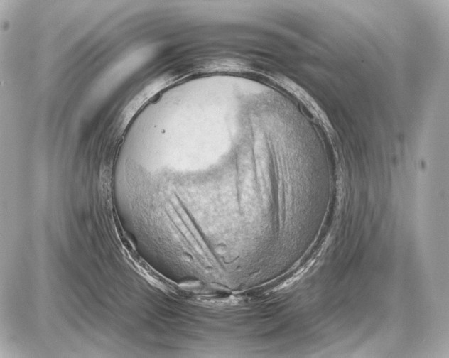 X0000087401337200705111816