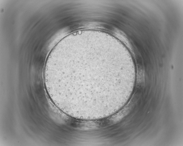 X0000087401338200705111816