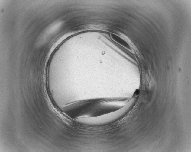 X0000087401339200705111816